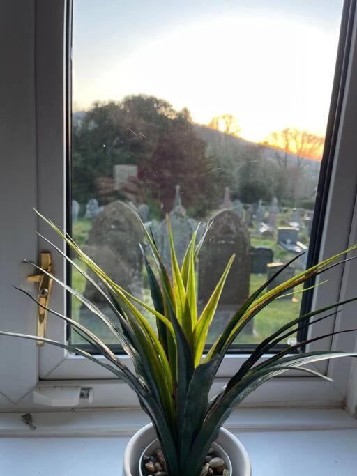 Yew Tree Cottage, 3 Bedroom, 4 Church Row Defynnog Devynock المظهر الخارجي الصورة